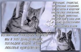 Скачать бесплатно прикольные открытки с днем кошек. Открытки с днем кошек gif.