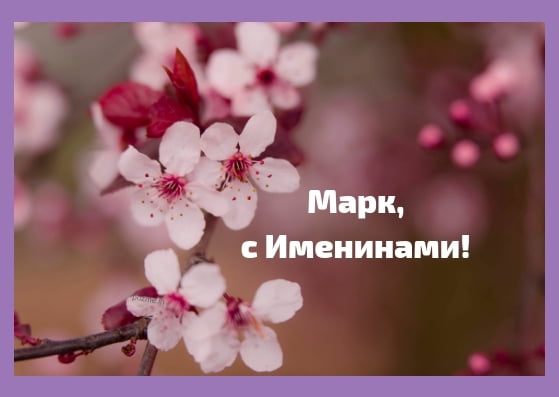 Открытки с именем Марк с признаниями. Открытки с именем Марк скачать бесплатно. 