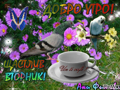 Позитивные открытки на вторник. Картинки про вторник скачать бесплатно.