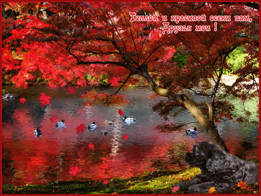 Оригинальные открытки с изображением осени. Открытки осень скачать бесплатно.