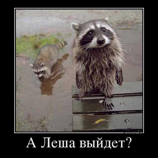 Открытки с именем Алексей скачать бесплатно. Открытки с именем Леша.