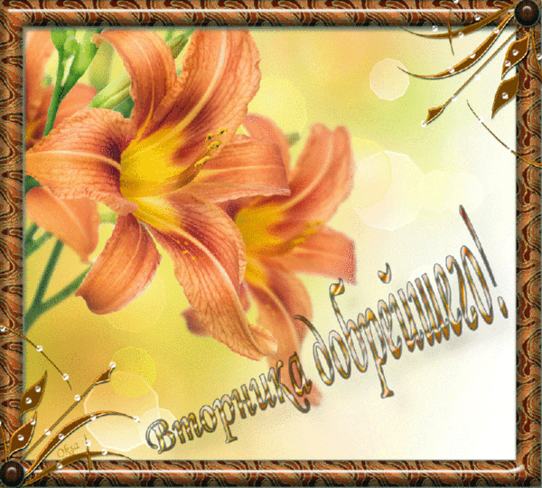 Позитивные открытки на вторник. Картинки про вторник скачать бесплатно.