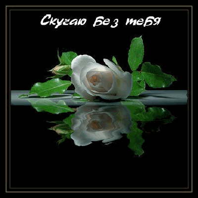 Анимационные открытки скучаю по тебе. Открытки я так скучаю скачать бесплатно.