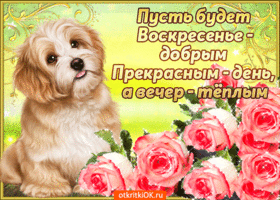 Мерцающие открытки про воскресенье. Открытки на воскресное утро.