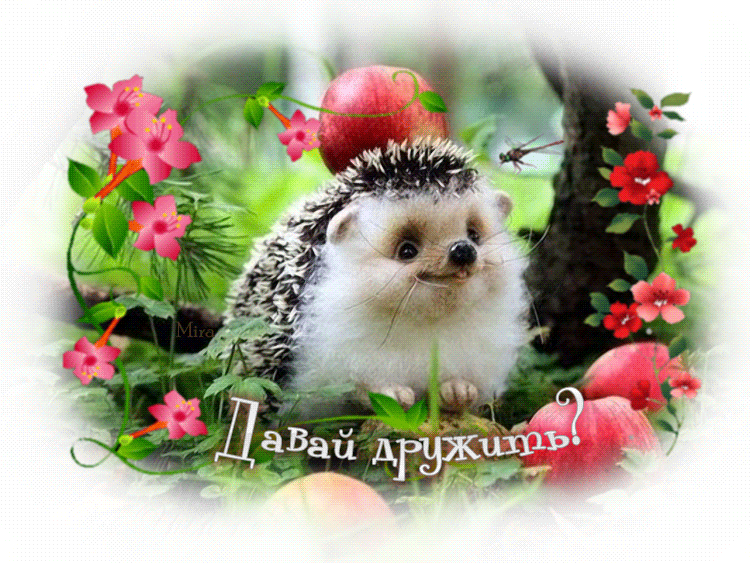 Красивые анимационные открытки давай дружить скачать бесплатно.
