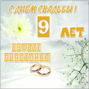 Открытки на Фаянсовую/Ромашковую свадьбу 9 лет скачать бесплатно.