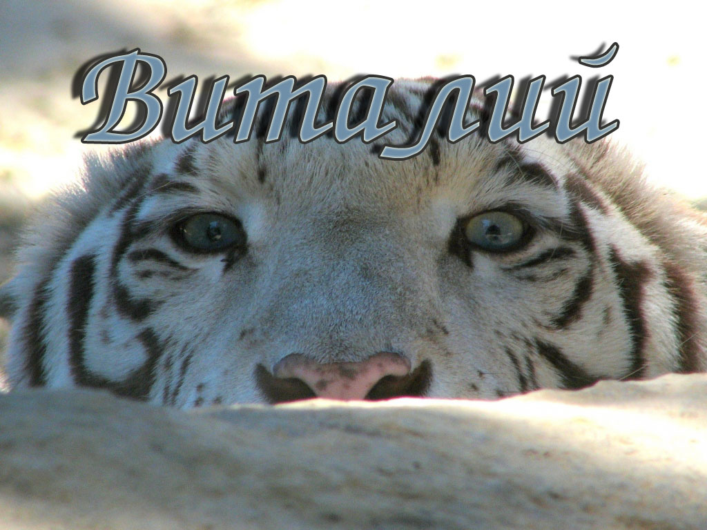 Открытки с именем Виталий скачать бесплатно. Прикольные открытки с мужскими и...