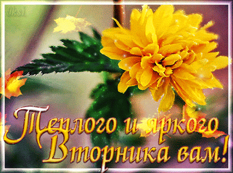 Позитивные открытки на вторник. Картинки про вторник скачать бесплатно.