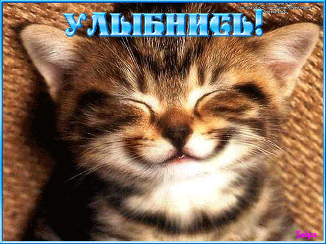 Весёлые открытки с пожеланиями улыбнись. Открытки с улыбкой скачать бесплатно.