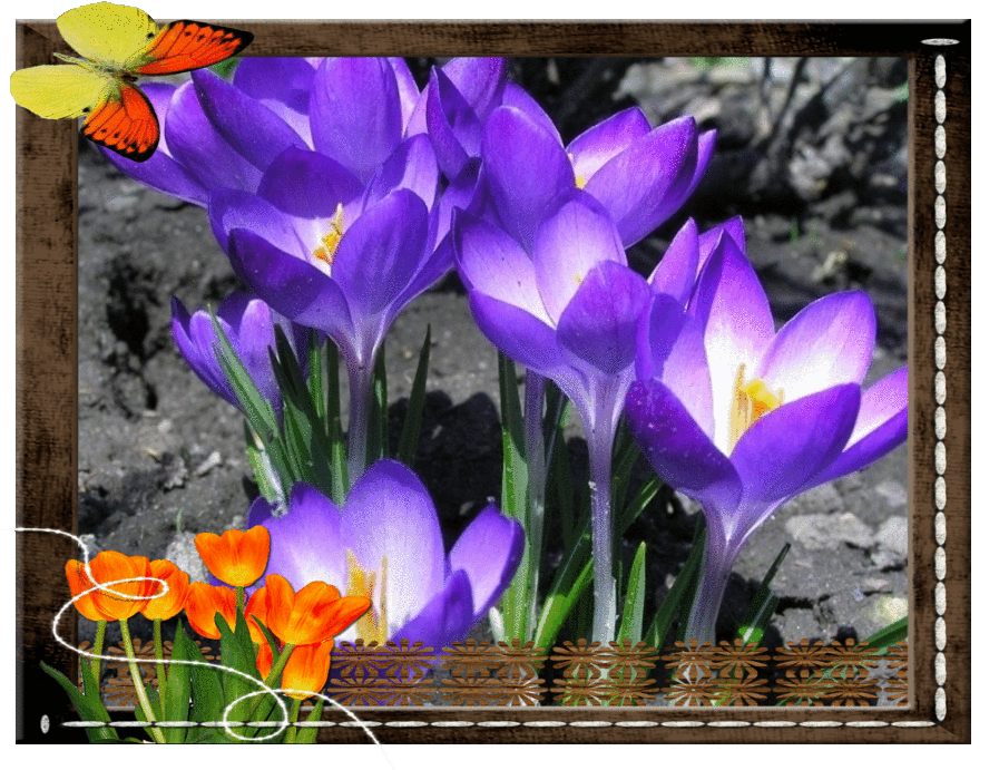 Красивые мерцающие открытки на весеннюю тематику. Скачать бесплатно открытки ...