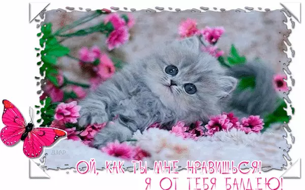 Красивые открытки ты мне нравишься с признаниями. Скачать бесплатно открытки ...