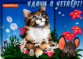 Открытки отличного четверга скачать бесплатно. Прикольные открытки на четверг...