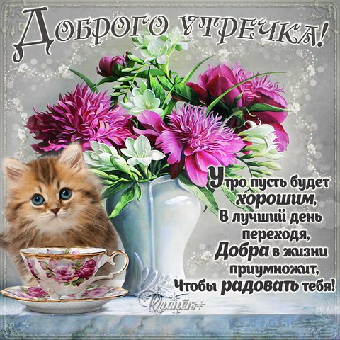 Открытка с пожеланиями доброго утра на каждый день скачать бесплатно 