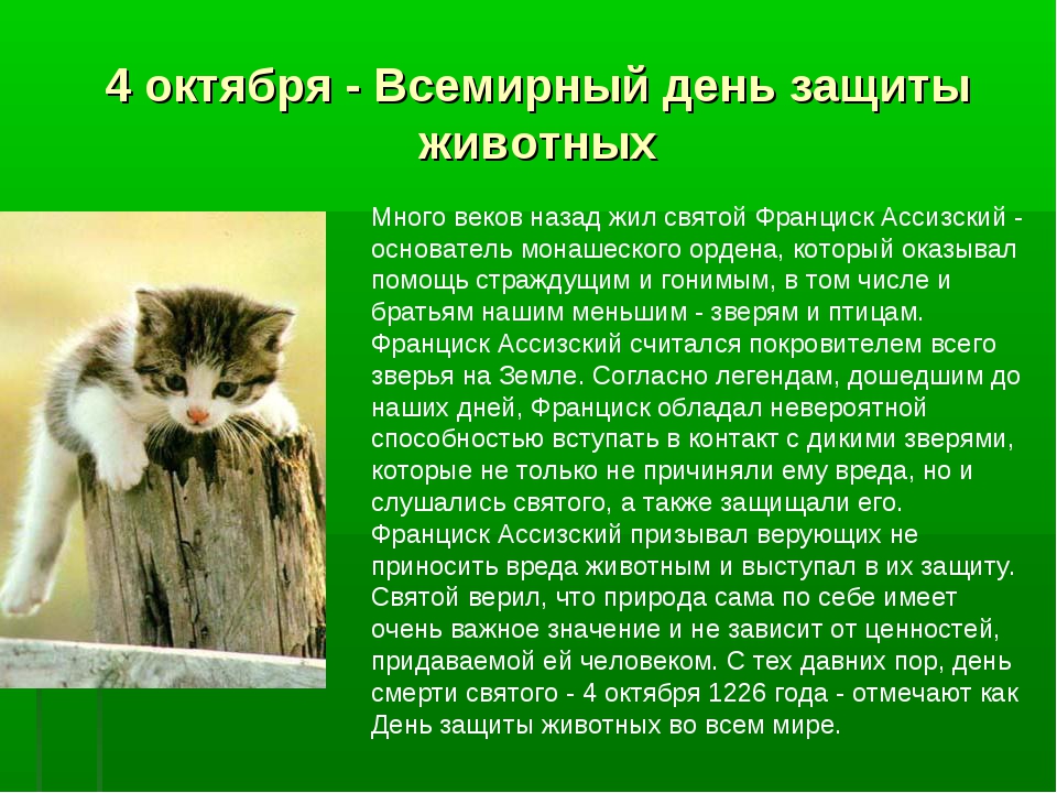 Открытки с днём защиты животных скачать бесплатно. Открытки с днём защиты жив...