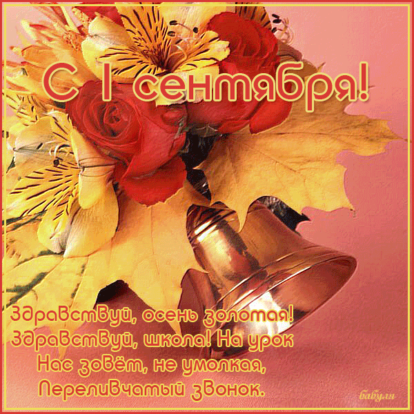 Открытки с поздравлениями на день знаний скачать бесплатно. 