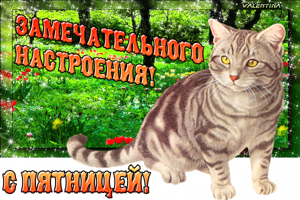 Прикольные открытки на пятницу. Открытки с пожеланиями на пятницу скачать бес...