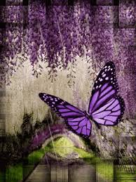 Мерцающие открытки с бабочками. Открытки с красивыми бабочками скачать беспла...