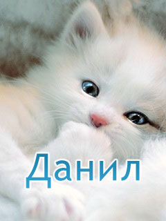 Открытки с именем Даниил gif. Открытки с именем Данил скачать бесплатно.