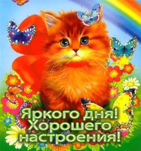 Открытки с пожеланиями хорошего дня. Скачать бесплатно открытки удачного дня.