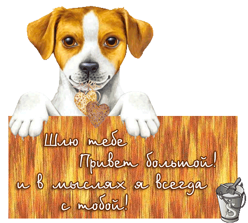 Красивые анимационные открытки с различными приветствиями скачать бесплатно.