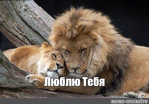 Поздравительные открытки с именем Лев. Открытки с мужскими именами. Открытки ...