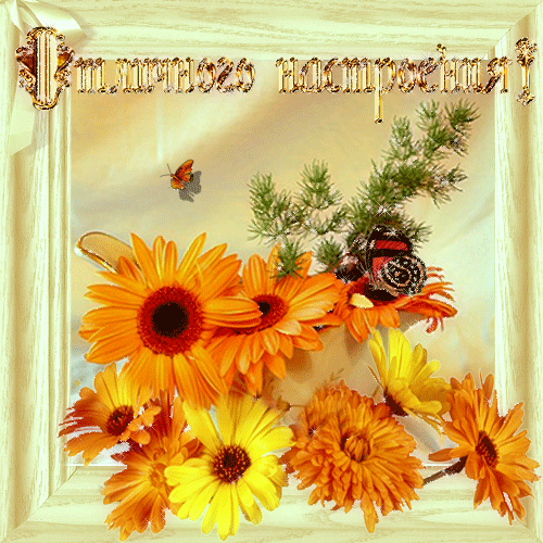 Позитивные открытки с пожеланиями хорошего настроения скачать бесплатно.