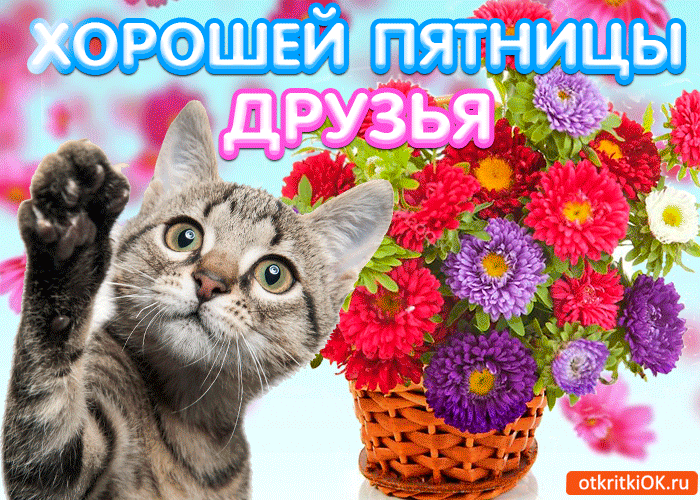 Прикольные открытки на пятницу. Открытки с пожеланиями на пятницу скачать бес...