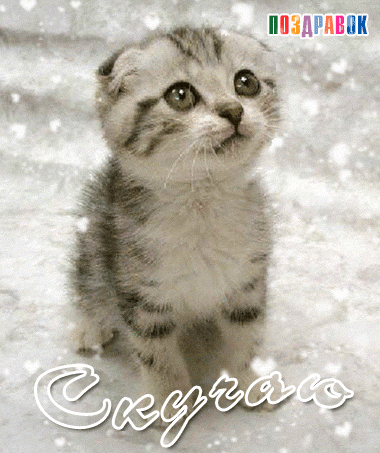 Анимационные открытки скучаю по тебе. Открытки я так скучаю скачать бесплатно.