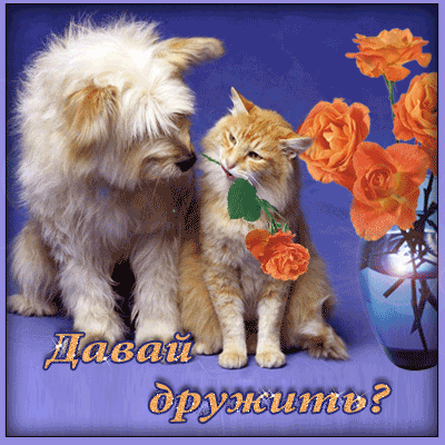 Красивые анимационные открытки давай дружить скачать бесплатно.