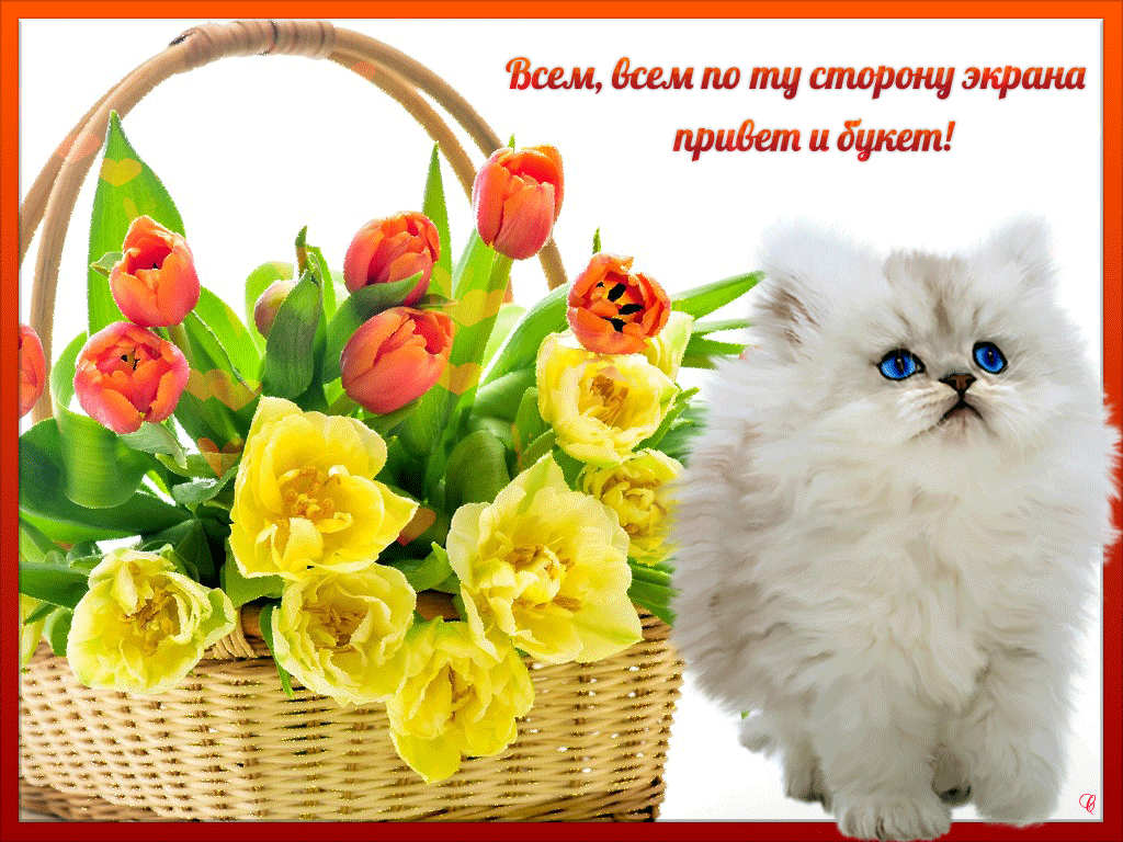 Красивые анимационные открытки с различными приветствиями скачать бесплатно.