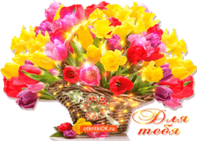 Открытки с цветами скачать бесплатно. Открытки с цветами на день рождения. 