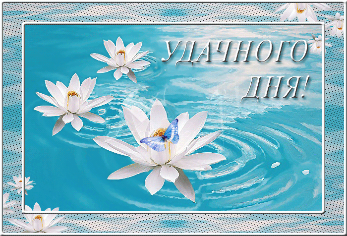 Открытки с пожеланиями хорошего дня. Скачать бесплатно открытки удачного дня.