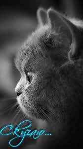 Анимационные открытки скучаю по тебе. Открытки я так скучаю скачать бесплатно.