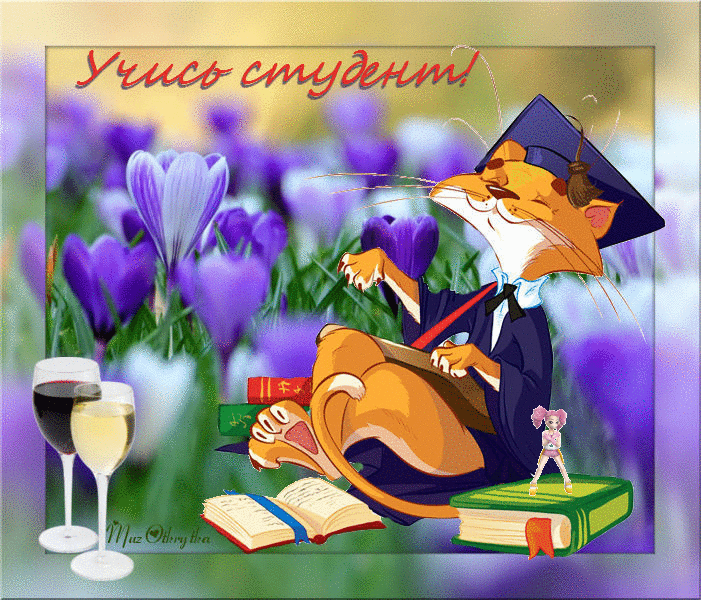 Анимационные открытки с днем студента с наилучшими пожеланиями скачать беспла...
