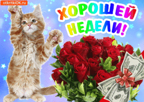 Забавные открытки с пожеланиями удачной недели. Открытки удачной недели скача...