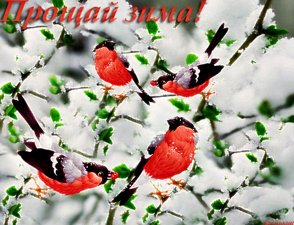 Красивые открытки с последним днем зимы. Анимационные картинки с последним зи...