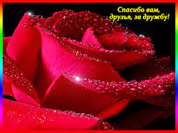 Красивые открытки для любимых друзей. Открытки о дружбе скачать бесплатно.