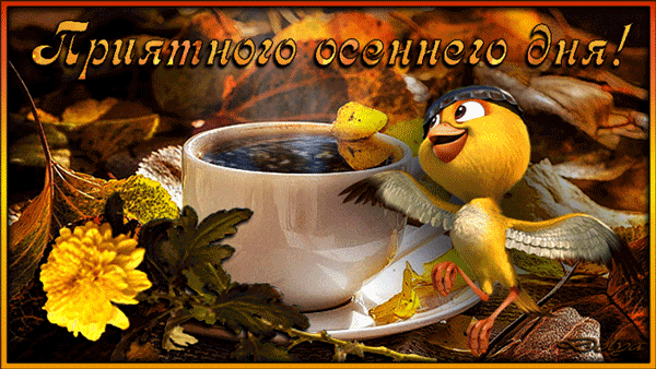 Открытки с пожеланиями хорошего дня. Скачать бесплатно открытки удачного дня.