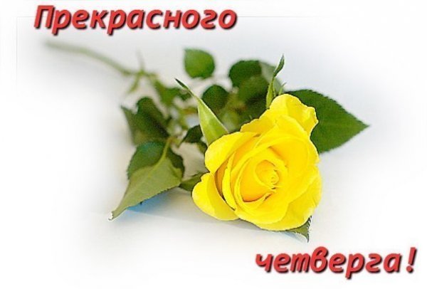 Анимационные открытки доброго утра и отличного четверга скачать бесплатно.