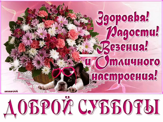 Интересные открытки на субботу. Веселые открытки на выходные.