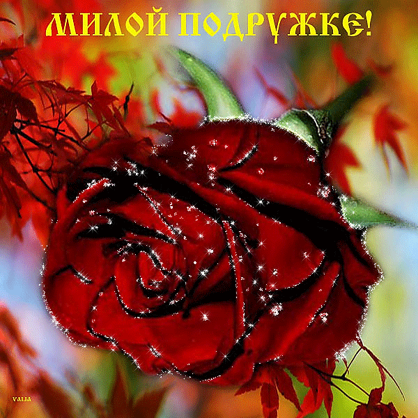 Красивые открытки для любимых друзей. Открытки о дружбе скачать бесплатно.