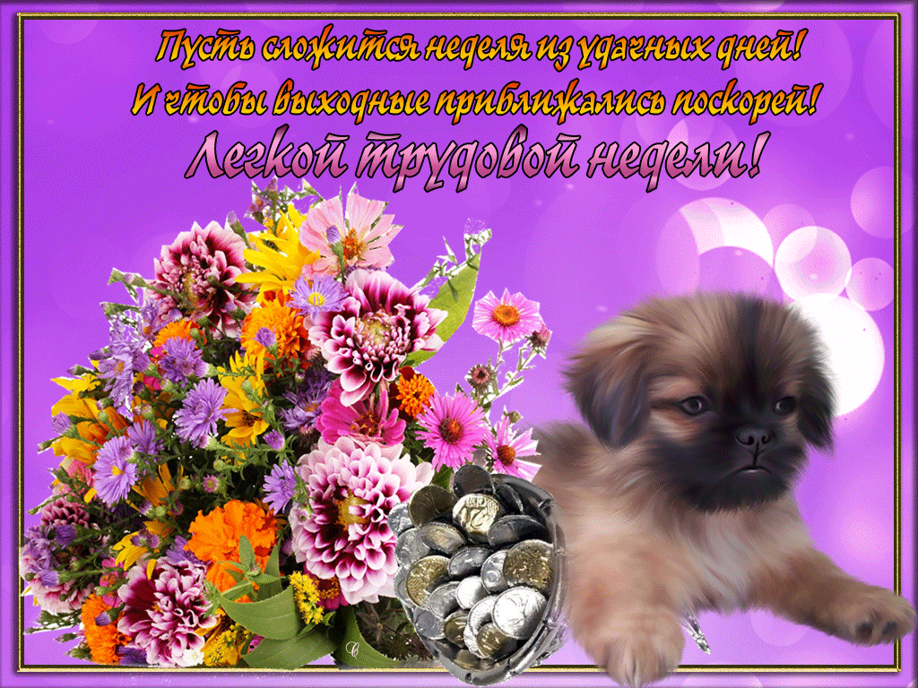 Забавные открытки с пожеланиями удачной недели. Открытки удачной недели скача...