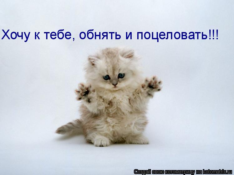 Анимационные открытки хочу к тебе. Мерцающие картинки хочу к тебе.