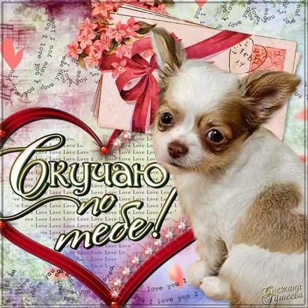 Анимационные открытки скучаю по тебе. Открытки я так скучаю скачать бесплатно.