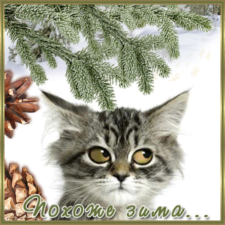 Мерцающие анимационные открытки с пожеланиями на первый день зимы