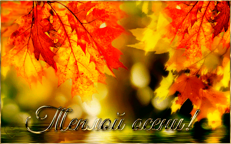 Оригинальные открытки с изображением осени. Открытки осень скачать бесплатно.