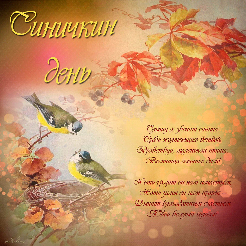 Красивые анимационные открытки на Синичкин день скачать бесплатно.