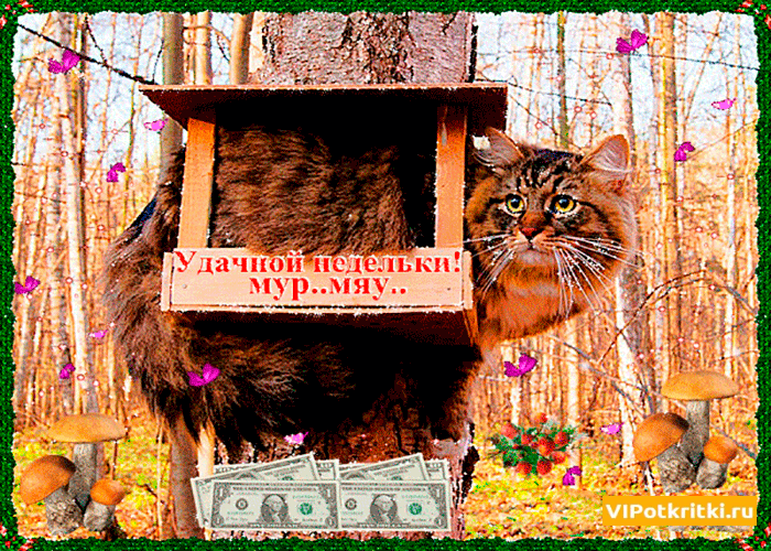 Открытки желаю удачи скачать бесплатно. Красивые открытки с пожеланиями удачи.