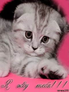 Открытки я жду тебя gif. Открытки возвращайся скорее скачать бесплатно.