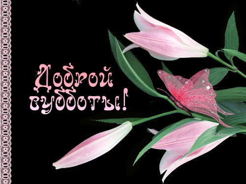 Интересные открытки на субботу. Веселые открытки на выходные.